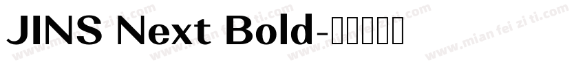 JINS Next Bold字体转换